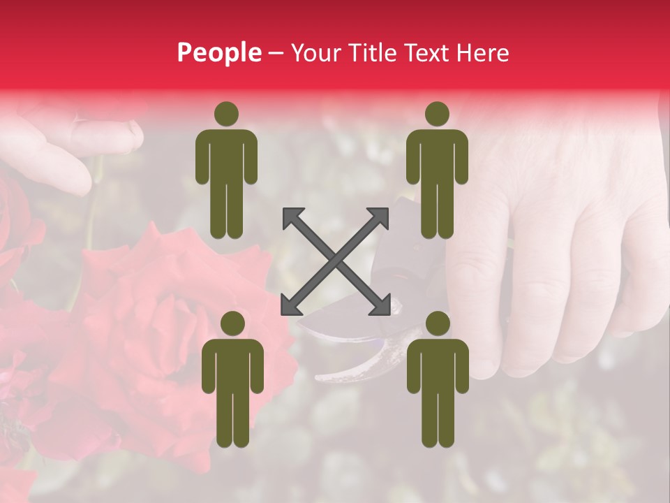 Rose Flower Cutting PowerPoint Template
