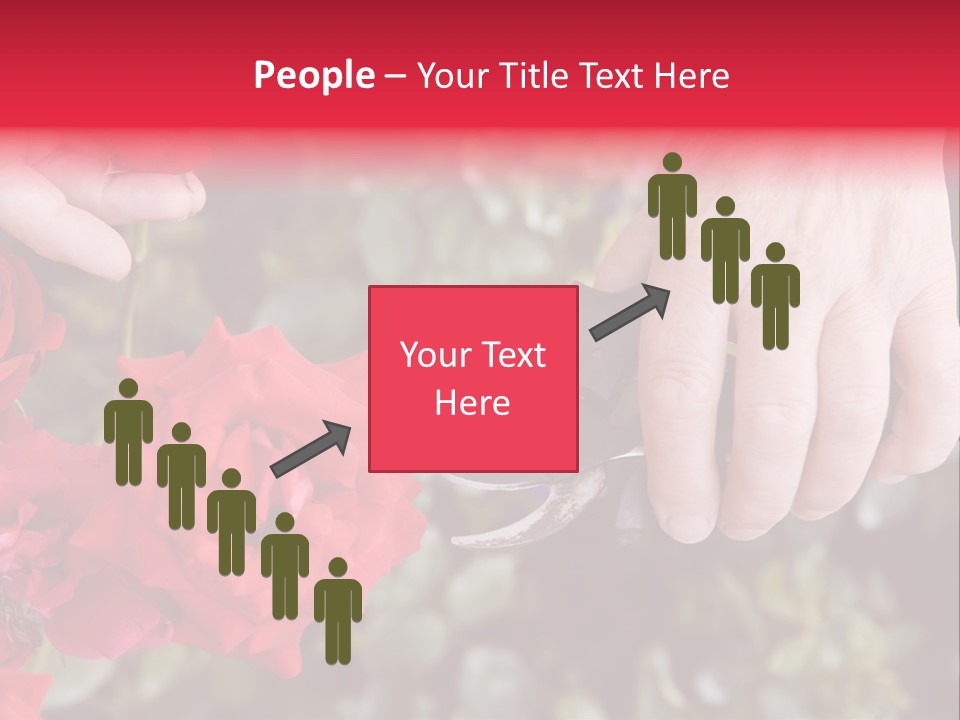 Rose Flower Cutting PowerPoint Template