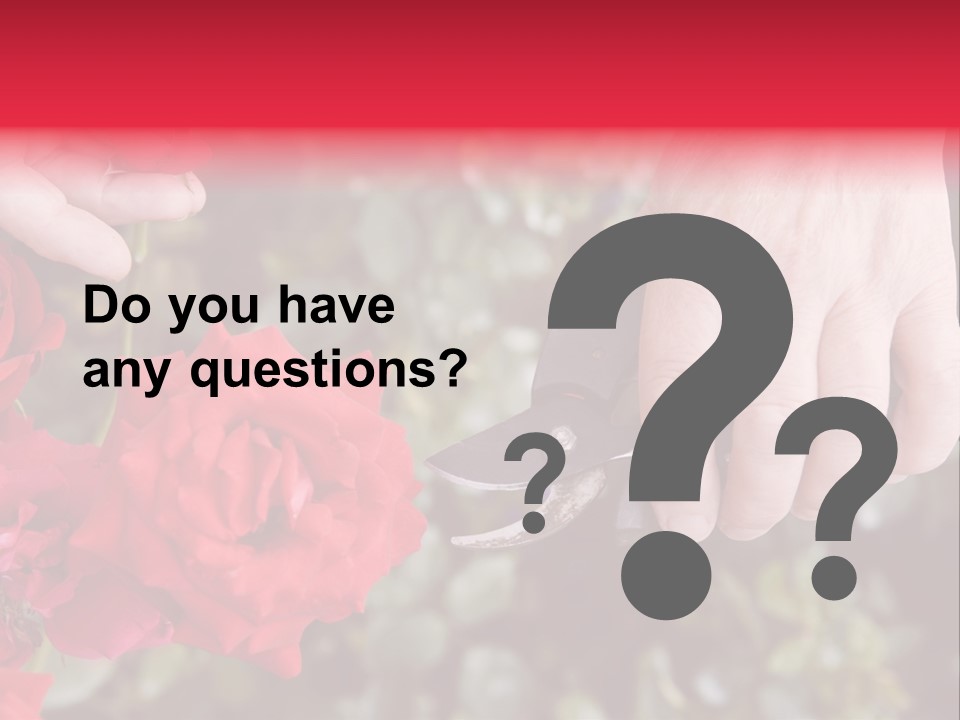 Rose Flower Cutting PowerPoint Template