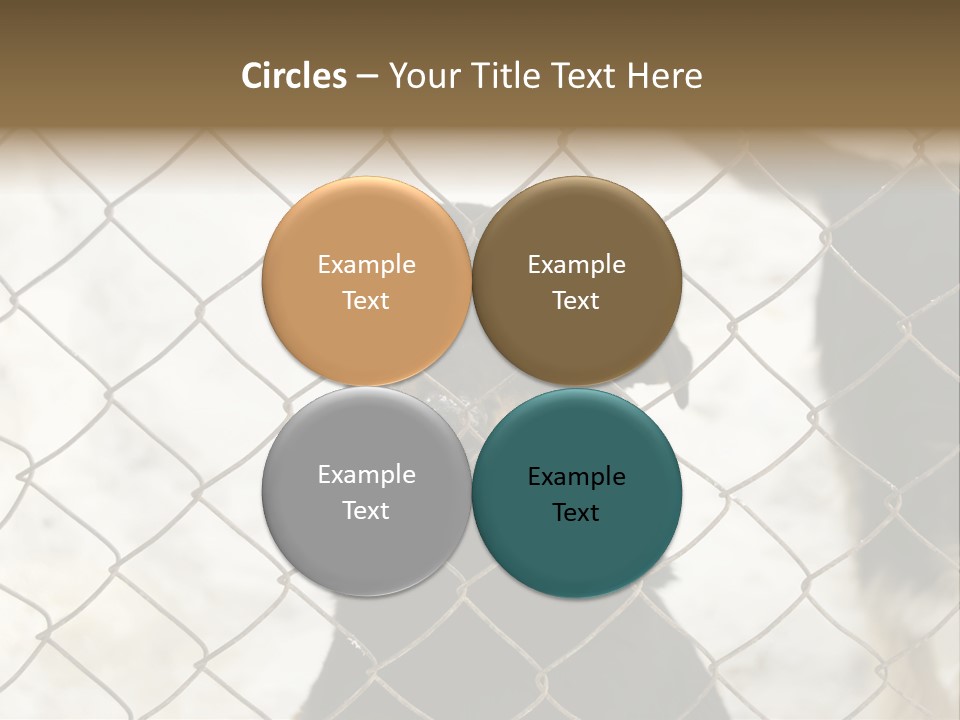 Lonely Domesticated Emotional PowerPoint Template