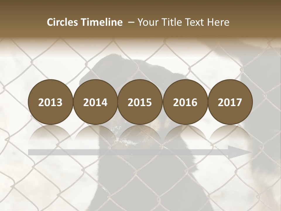 Lonely Domesticated Emotional PowerPoint Template