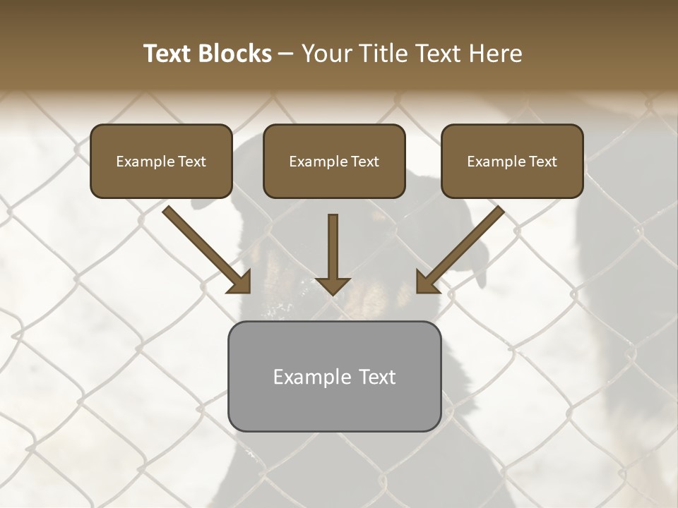 Lonely Domesticated Emotional PowerPoint Template