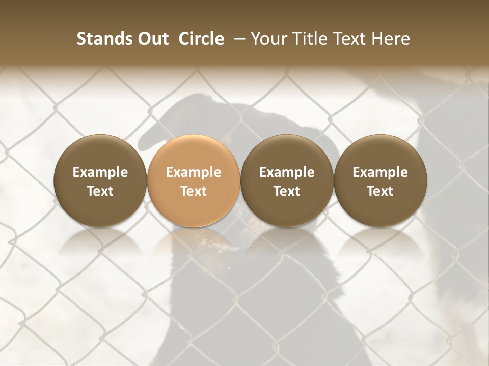 Lonely Domesticated Emotional PowerPoint Template