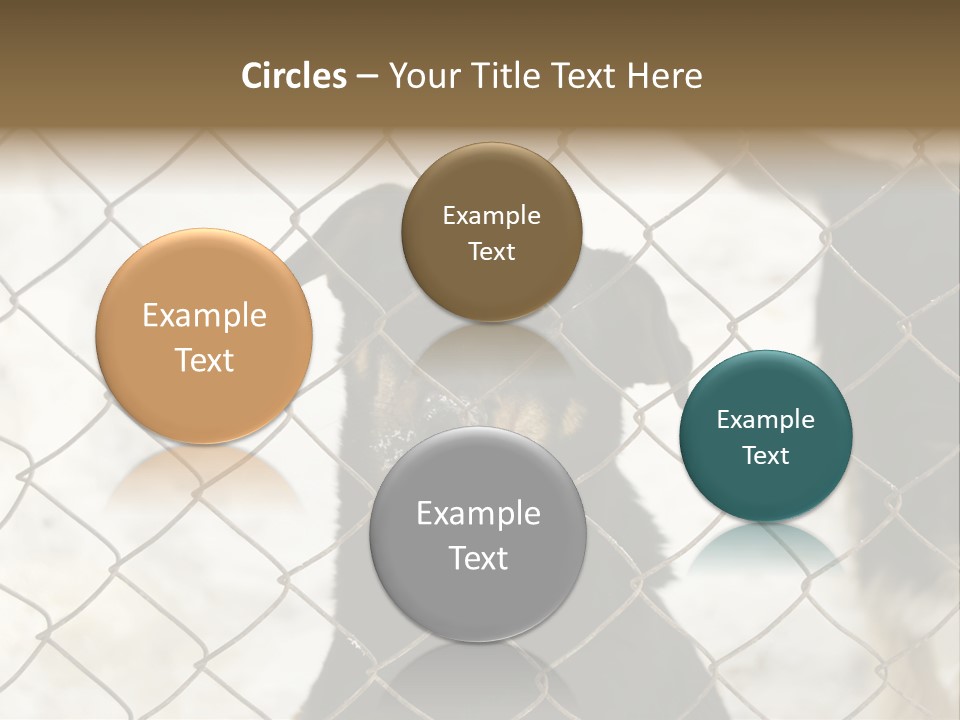 Lonely Domesticated Emotional PowerPoint Template