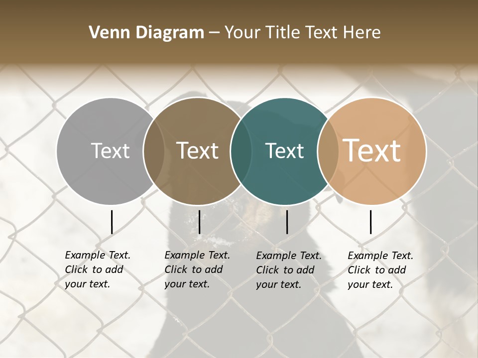 Lonely Domesticated Emotional PowerPoint Template