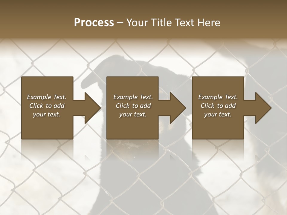 Lonely Domesticated Emotional PowerPoint Template