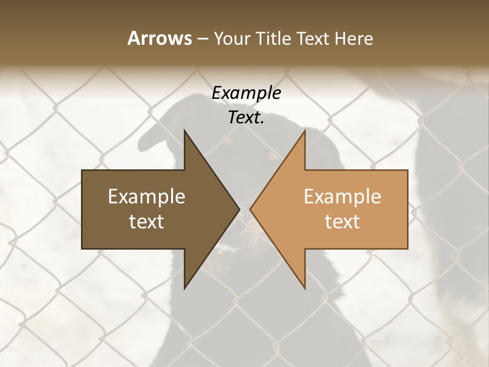 Lonely Domesticated Emotional PowerPoint Template