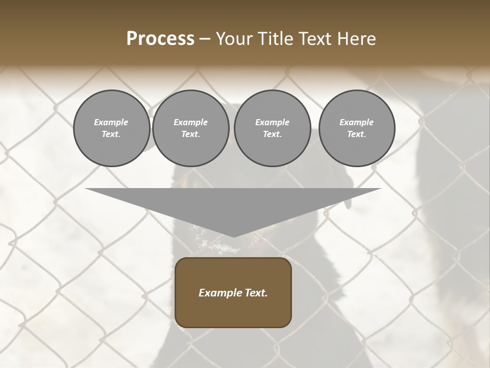Lonely Domesticated Emotional PowerPoint Template