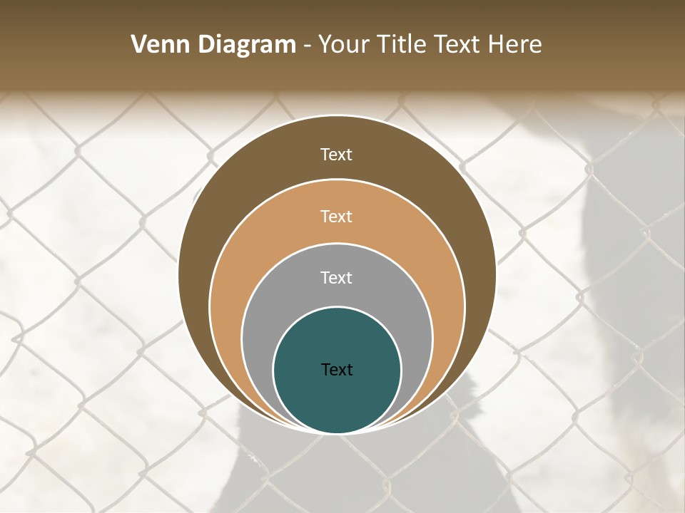 Lonely Domesticated Emotional PowerPoint Template