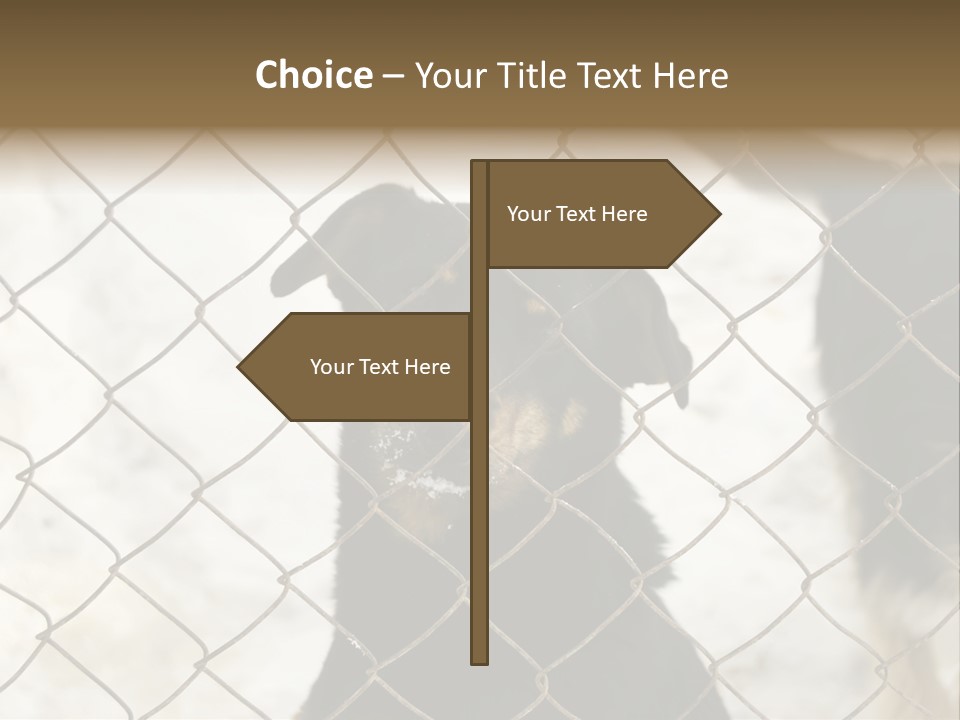 Lonely Domesticated Emotional PowerPoint Template