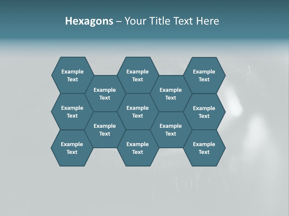 Macro Retina Male PowerPoint Template