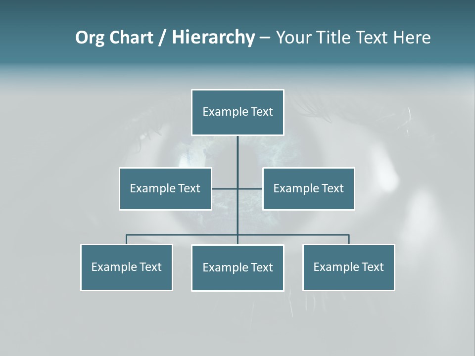 Macro Retina Male PowerPoint Template