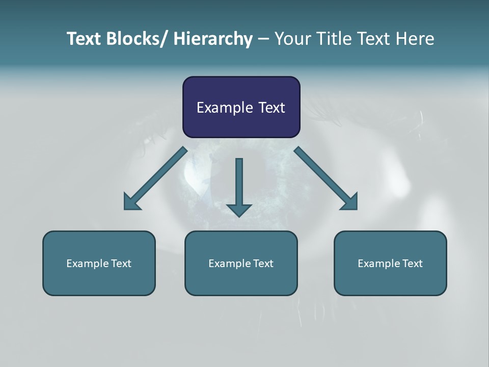 Macro Retina Male PowerPoint Template