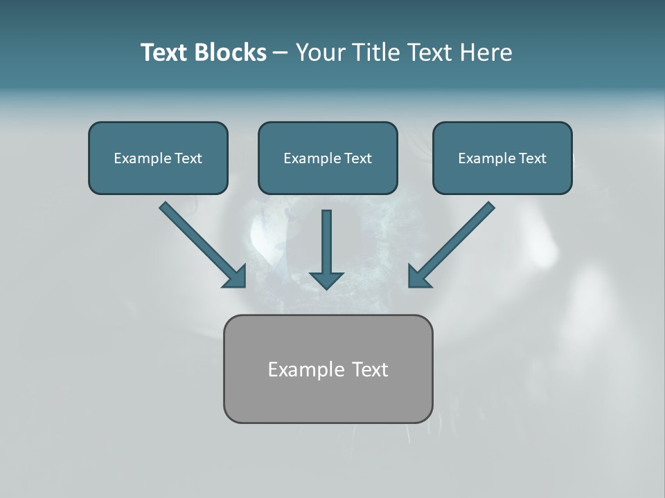 Macro Retina Male PowerPoint Template