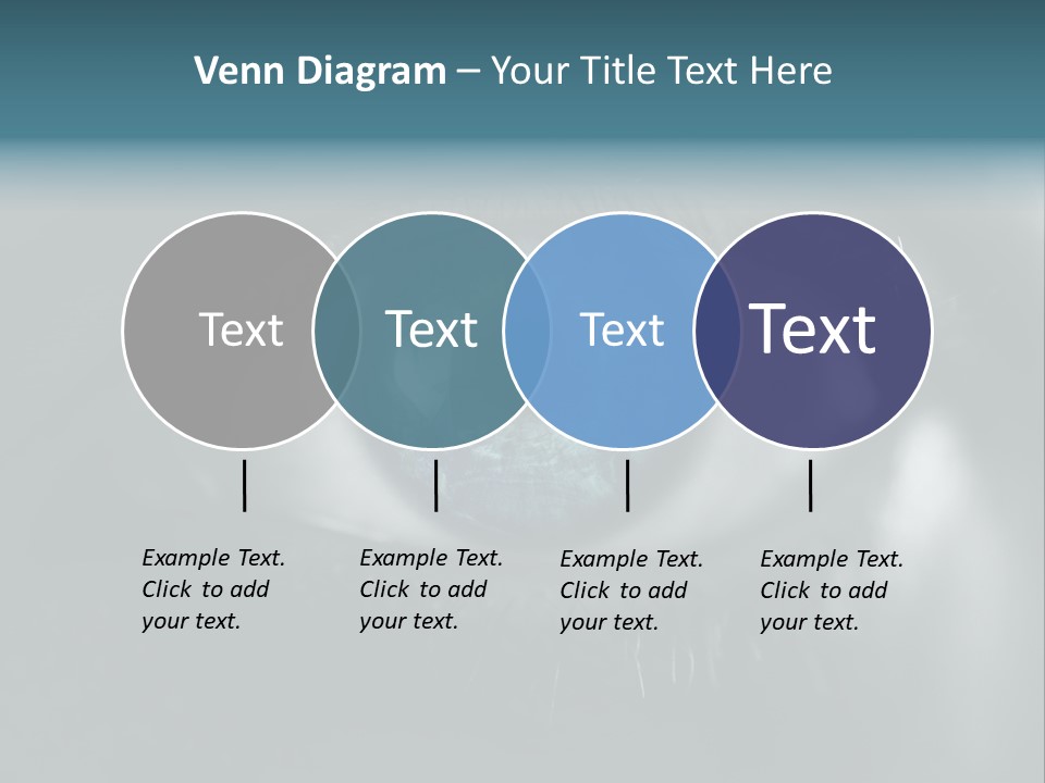 Macro Retina Male PowerPoint Template