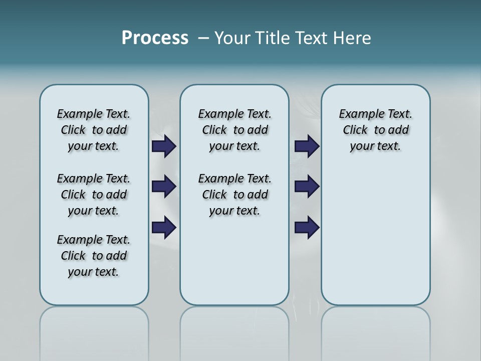 Macro Retina Male PowerPoint Template