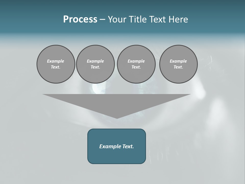 Macro Retina Male PowerPoint Template
