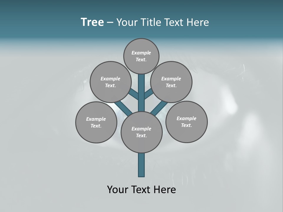 Macro Retina Male PowerPoint Template
