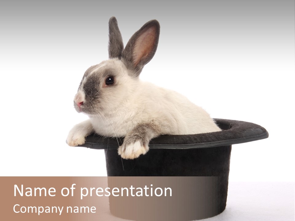 Pet Young Soft PowerPoint Template