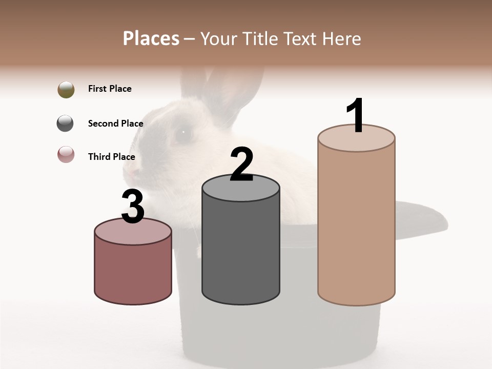 Pet Young Soft PowerPoint Template