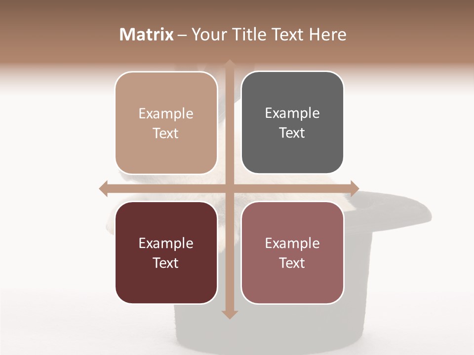 Pet Young Soft PowerPoint Template