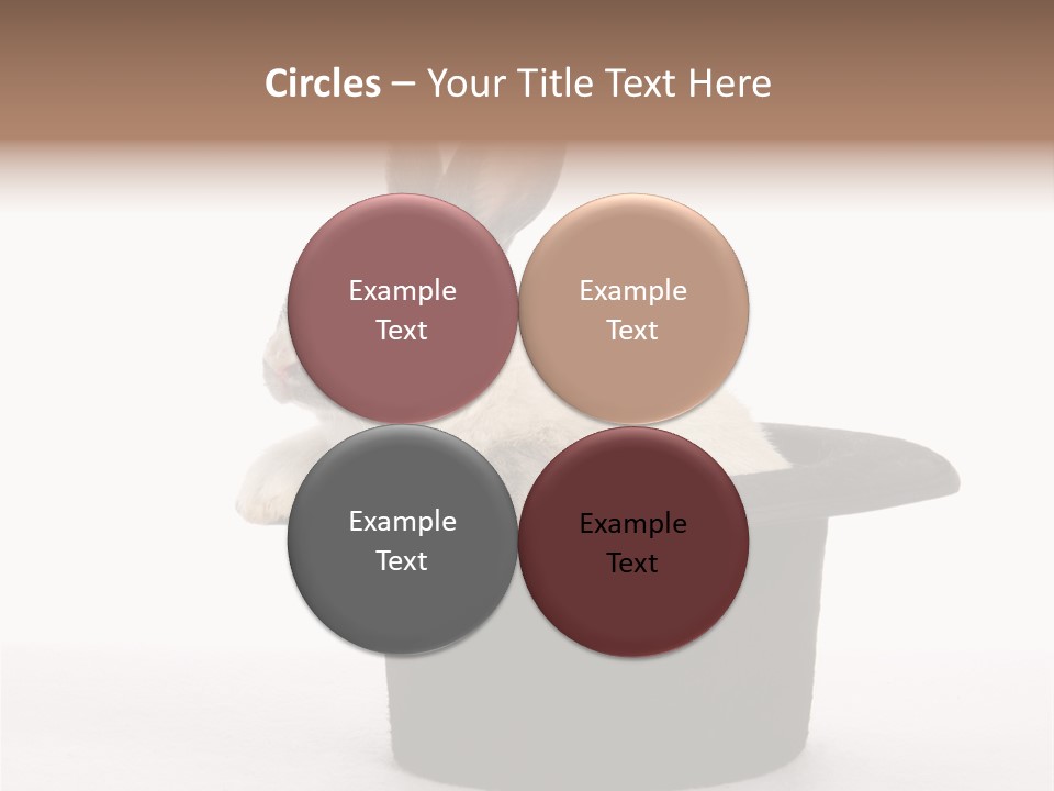 Pet Young Soft PowerPoint Template