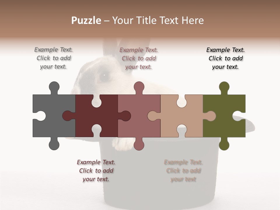 Pet Young Soft PowerPoint Template