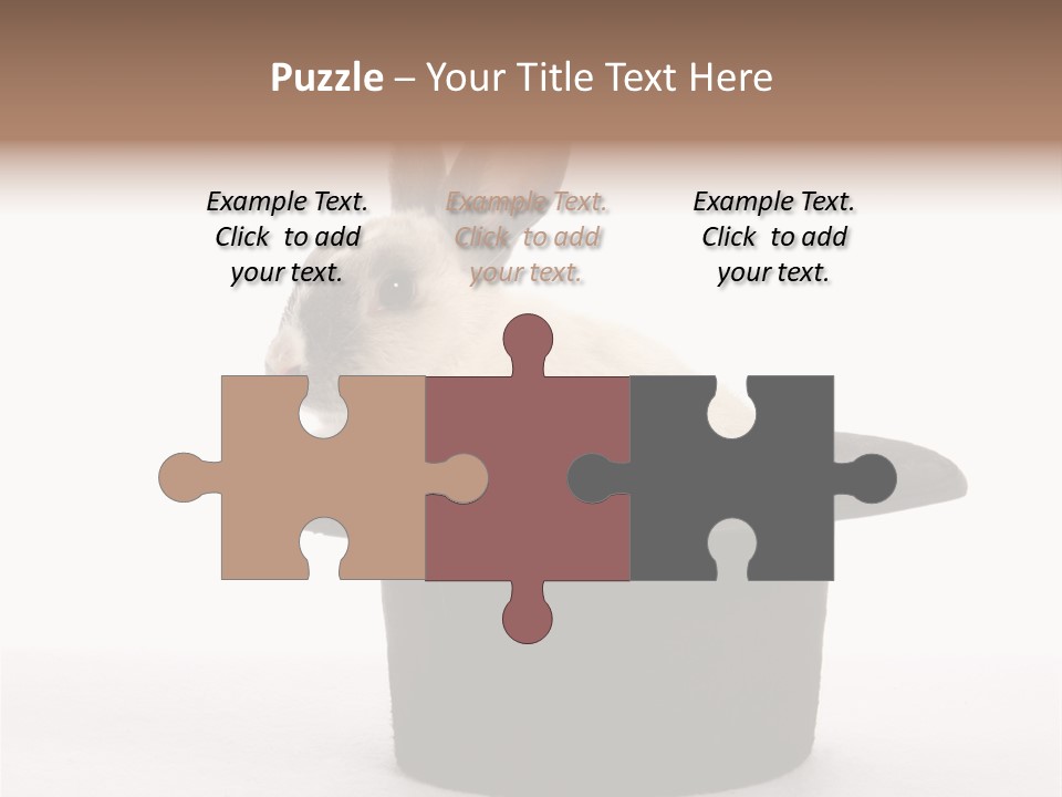 Pet Young Soft PowerPoint Template