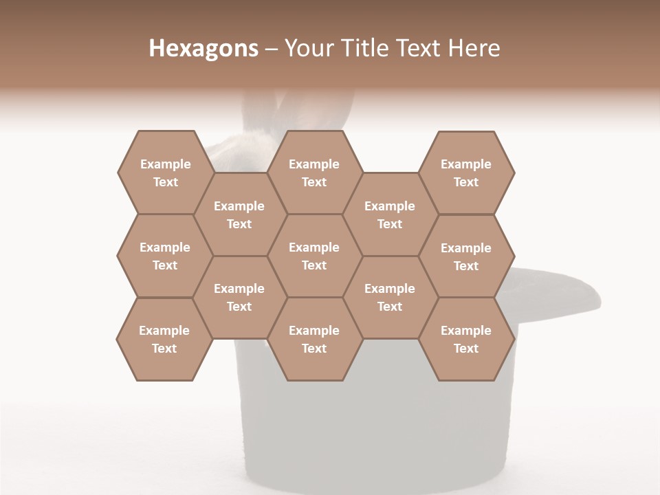 Pet Young Soft PowerPoint Template