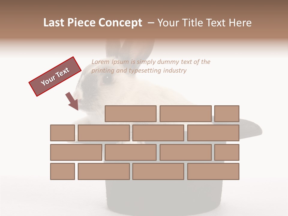 Pet Young Soft PowerPoint Template