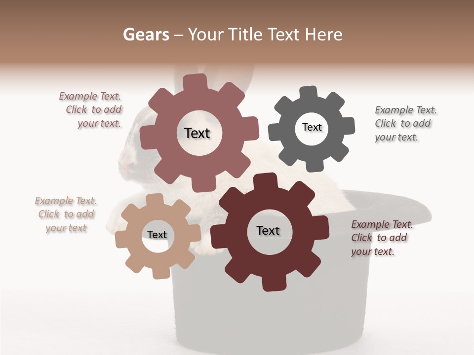 Pet Young Soft PowerPoint Template