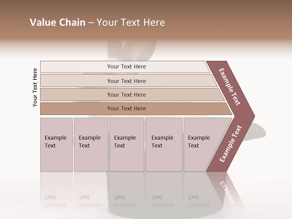 Pet Young Soft PowerPoint Template