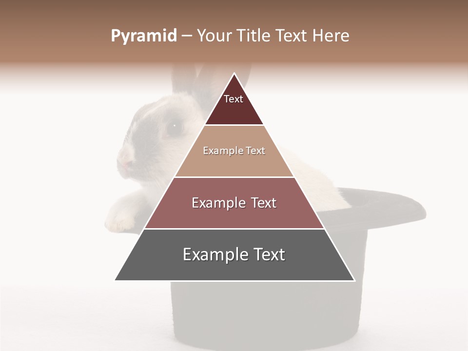 Pet Young Soft PowerPoint Template