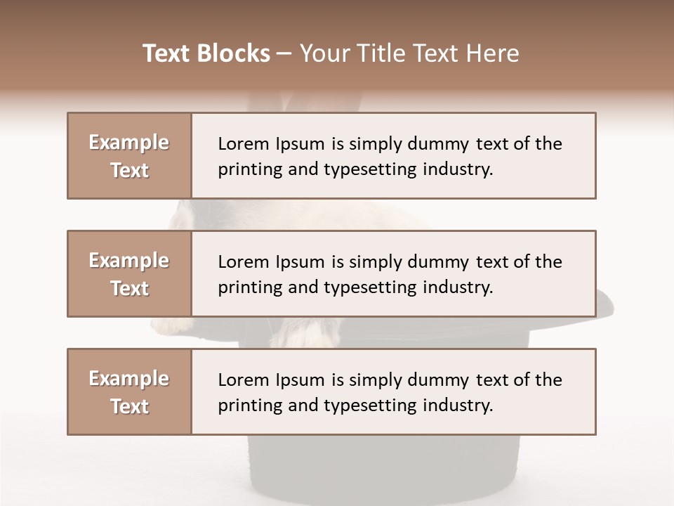 Pet Young Soft PowerPoint Template