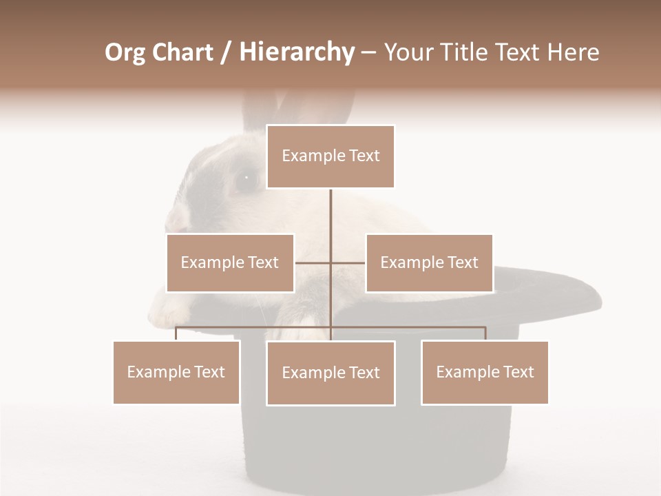 Pet Young Soft PowerPoint Template