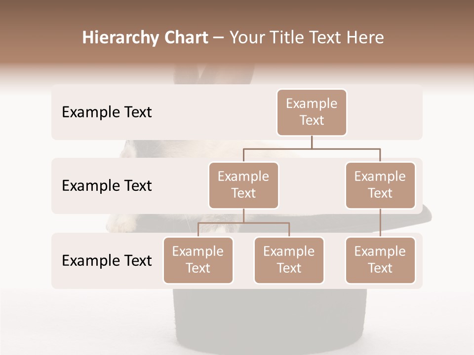 Pet Young Soft PowerPoint Template