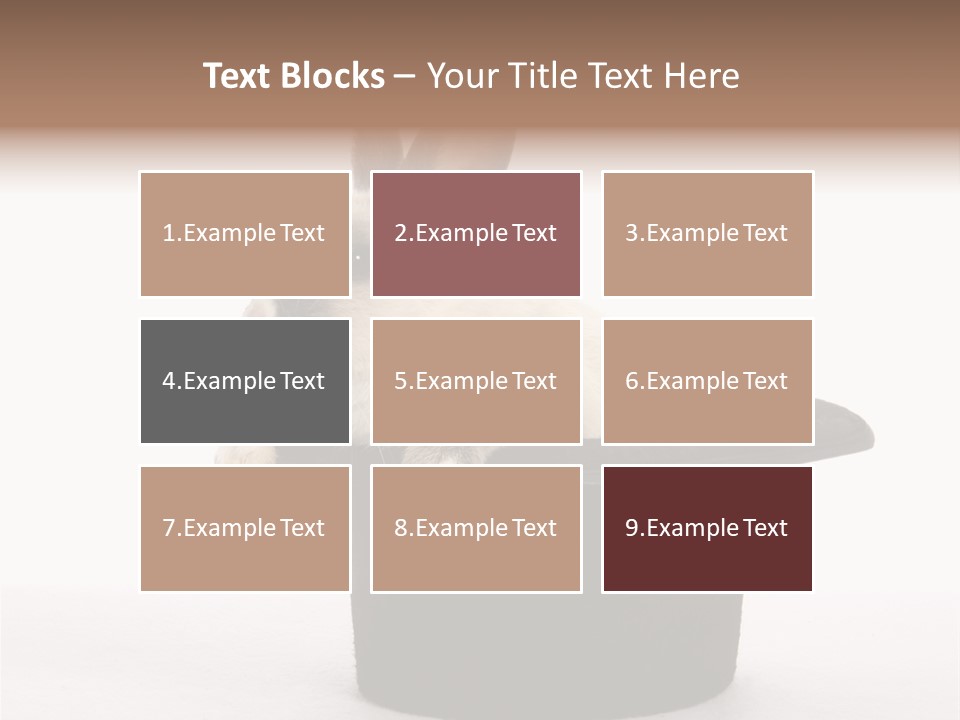 Pet Young Soft PowerPoint Template