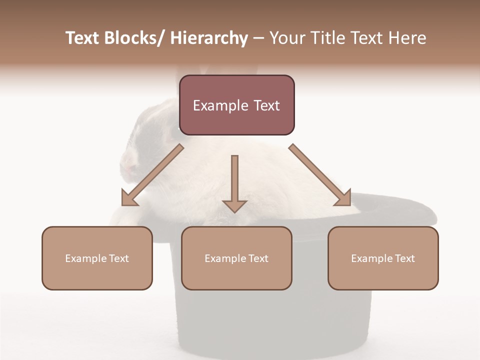 Pet Young Soft PowerPoint Template