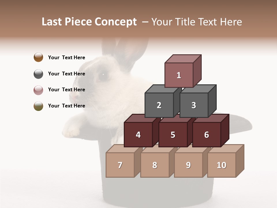 Pet Young Soft PowerPoint Template