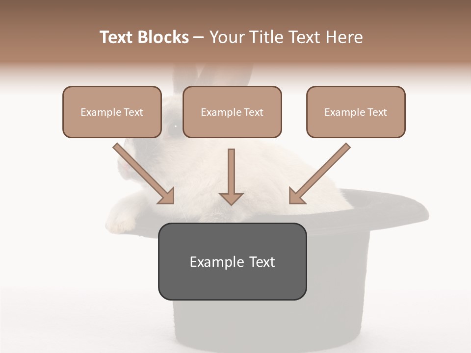 Pet Young Soft PowerPoint Template