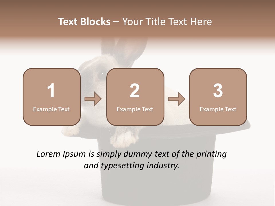 Pet Young Soft PowerPoint Template