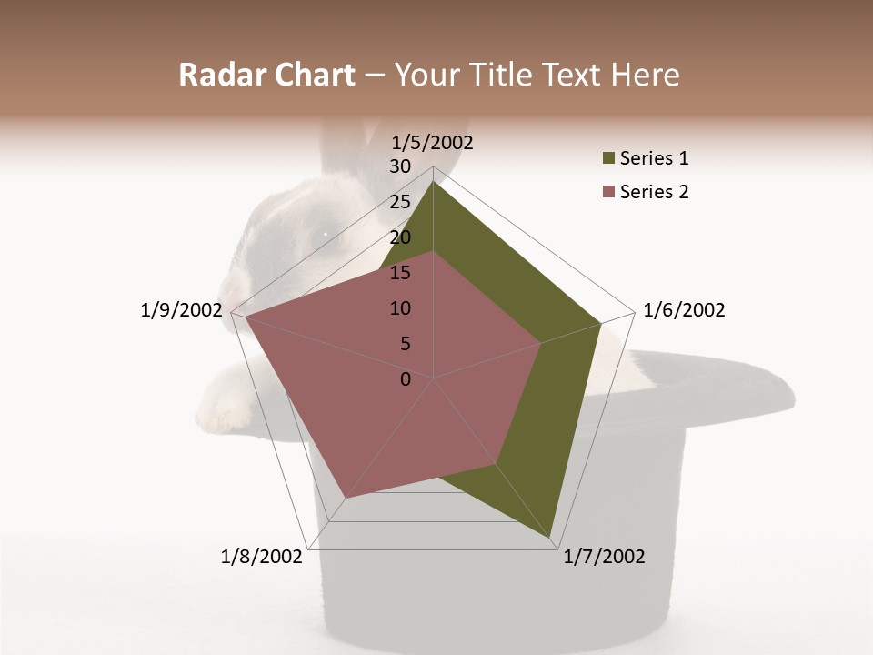 Pet Young Soft PowerPoint Template