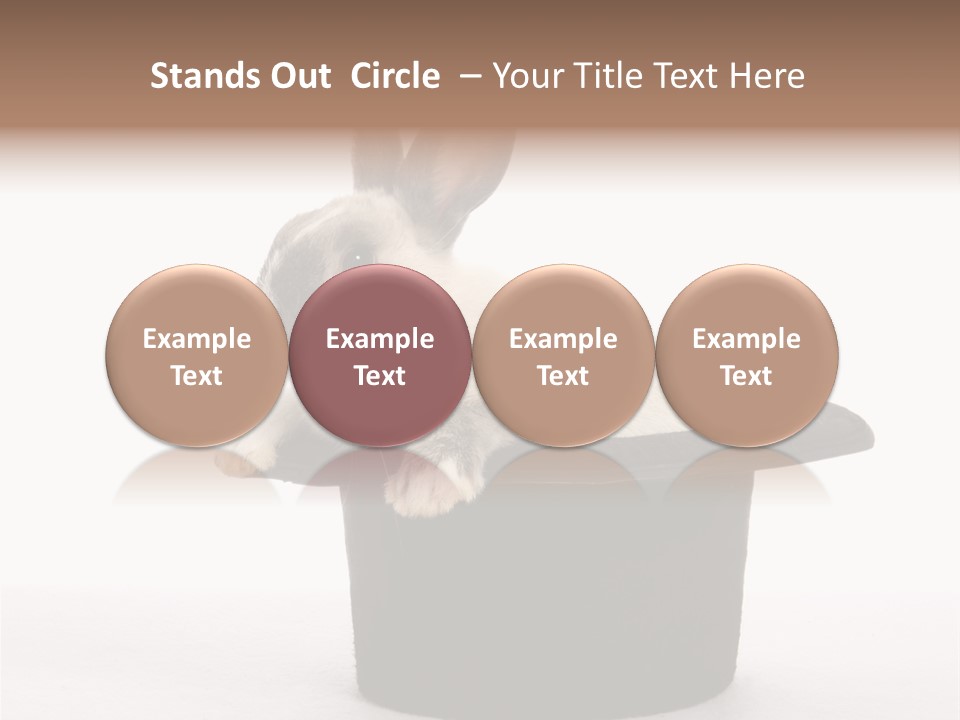 Pet Young Soft PowerPoint Template