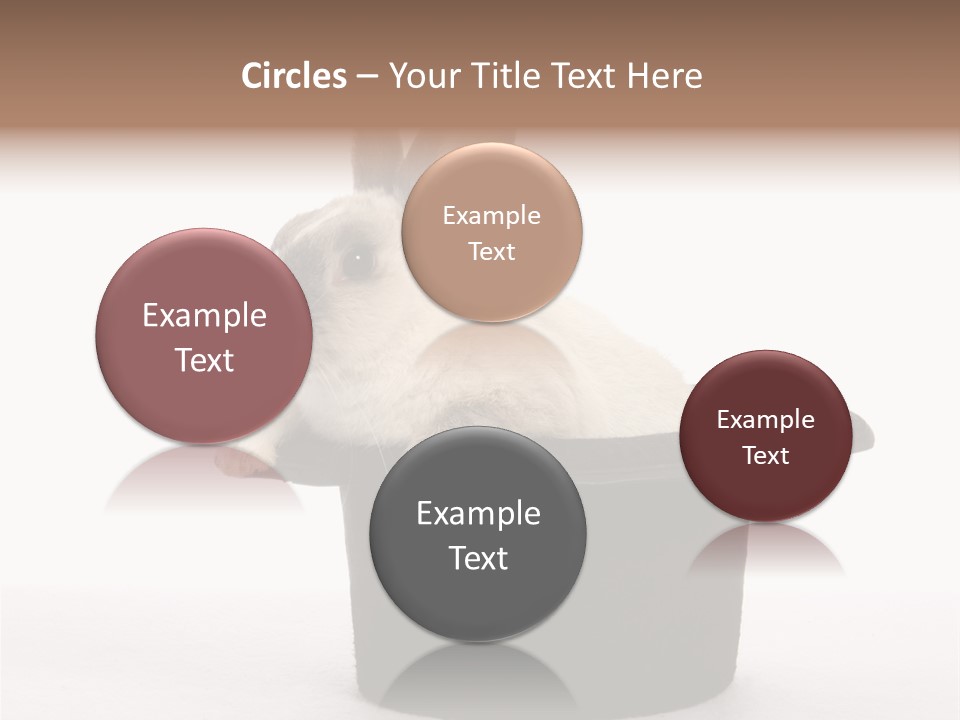 Pet Young Soft PowerPoint Template