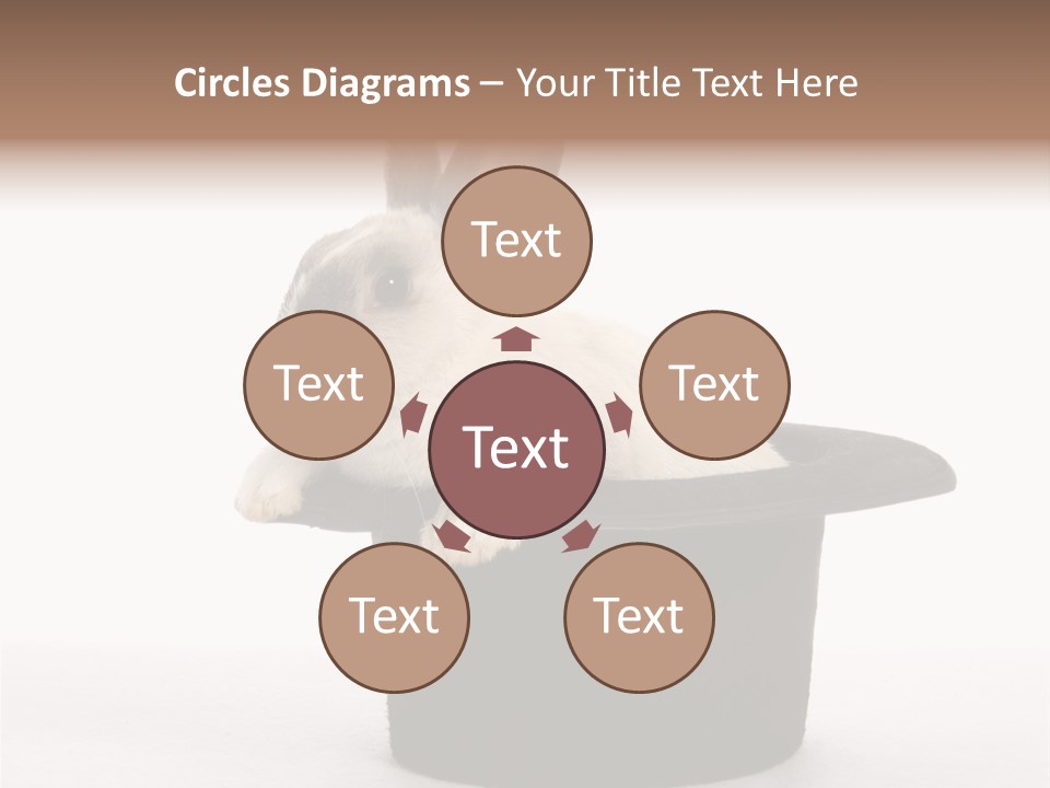 Pet Young Soft PowerPoint Template