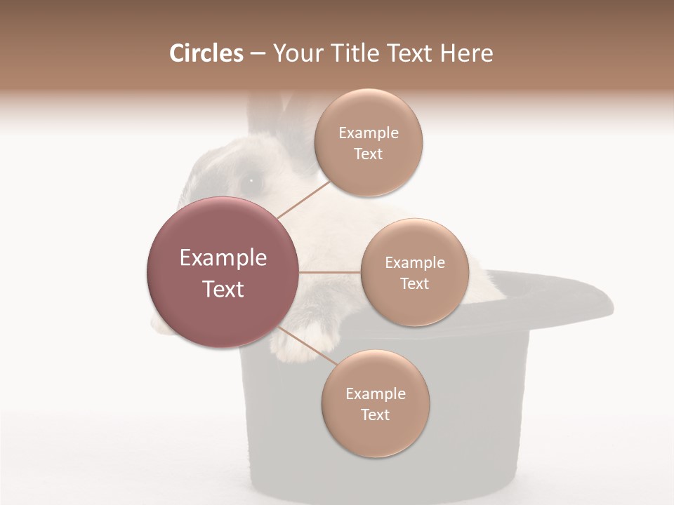 Pet Young Soft PowerPoint Template