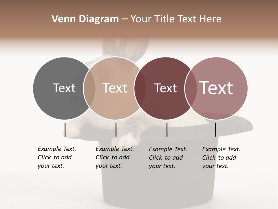 Pet Young Soft PowerPoint Template