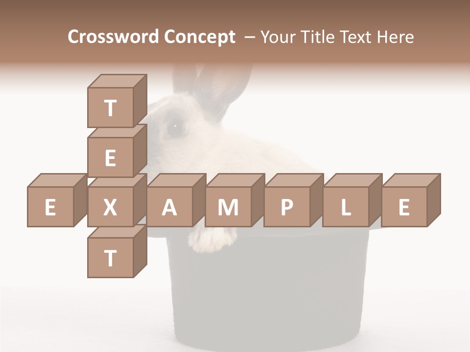 Pet Young Soft PowerPoint Template