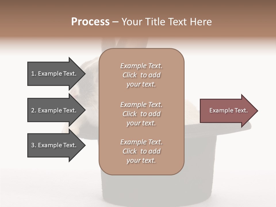Pet Young Soft PowerPoint Template