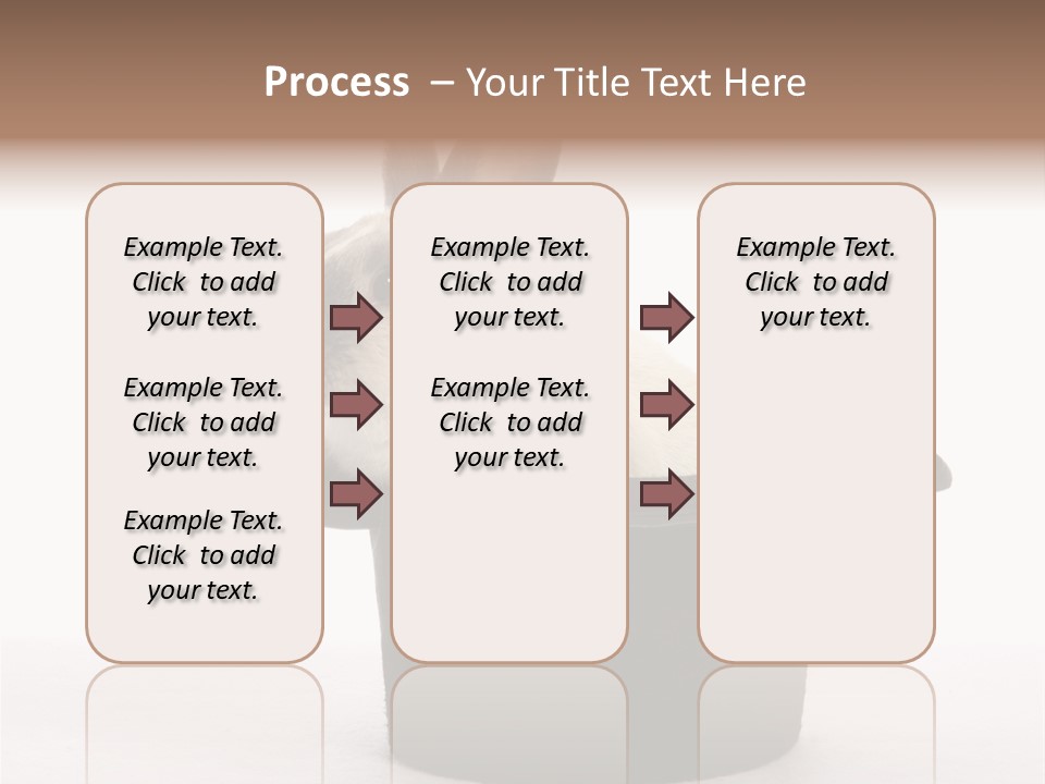 Pet Young Soft PowerPoint Template